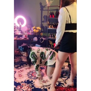 套路直播三三TJ伪娘榨汁1V415M极致诱惑