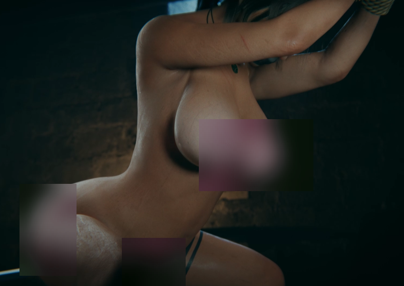 推特囚禁劳拉3D同人17部2.42G超顶