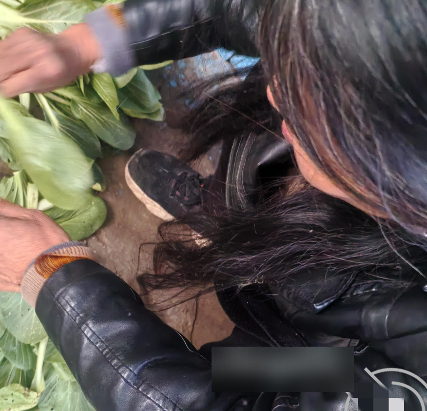 外站实在小李子亲子互动多部601.5MB珍藏版