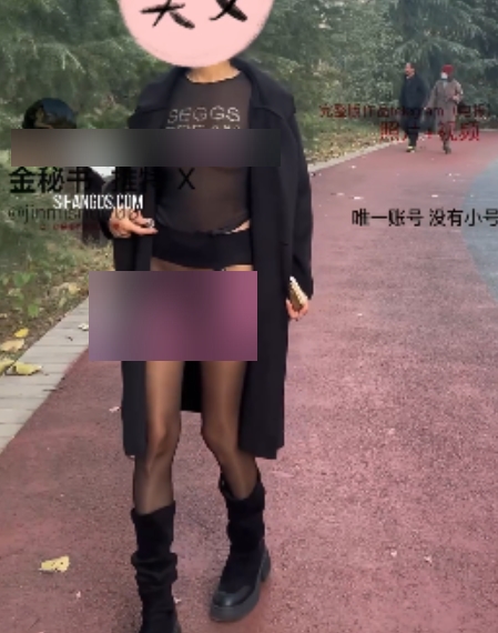 金秘书推特温泉自动鸟视频6v1.8G太感觉了