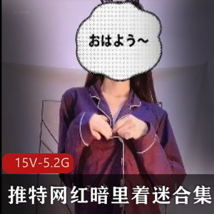 暗里着迷15V推特合集5.2G神秘诱惑