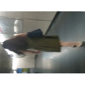 魔手CD优质厕拍59v11.8g合集