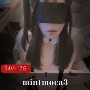 OnlyFans优质mintmoca3合集54V17G神仙给作